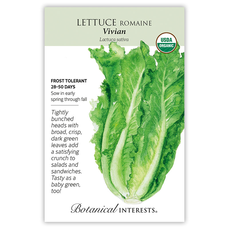 Lettuce Vivian Organic