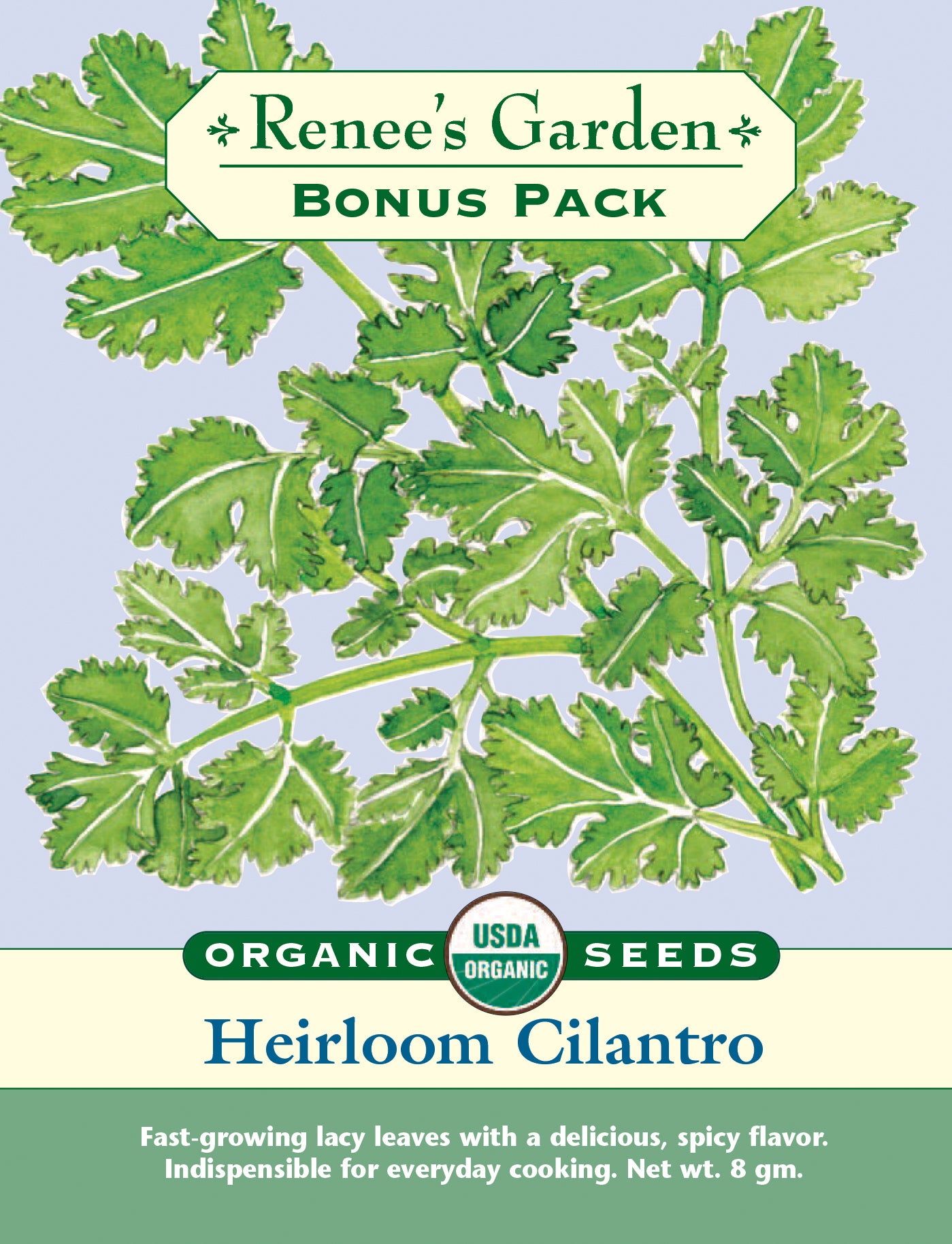 Bonus Pack Cilantro Organic