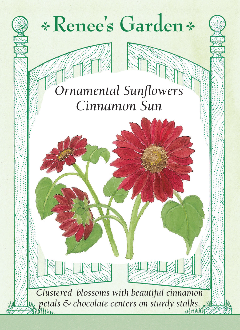Sunflower Cinnamon Sun