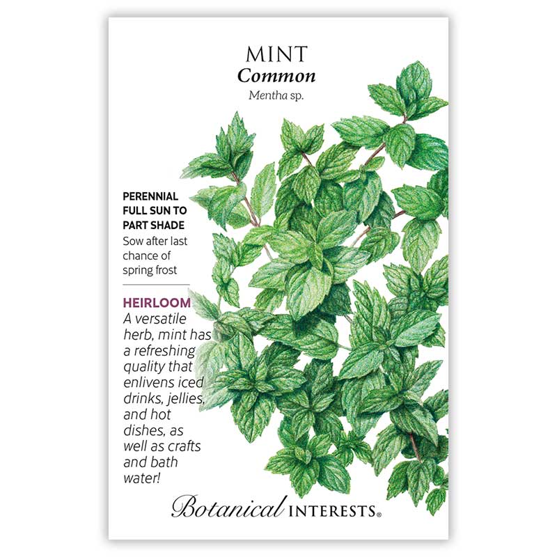 Mint Common