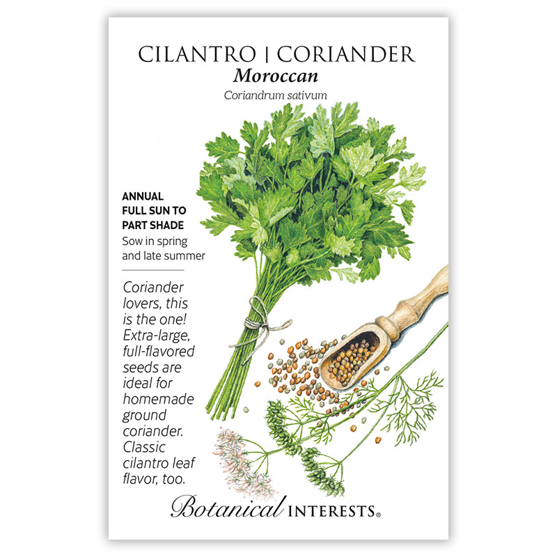 Cilantro Moroccan