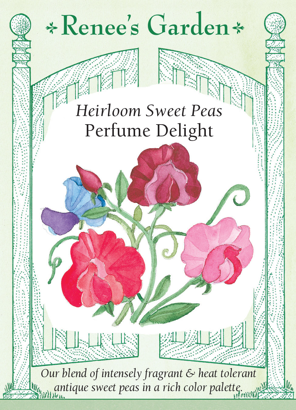 Sweet Pea Perfume Delight