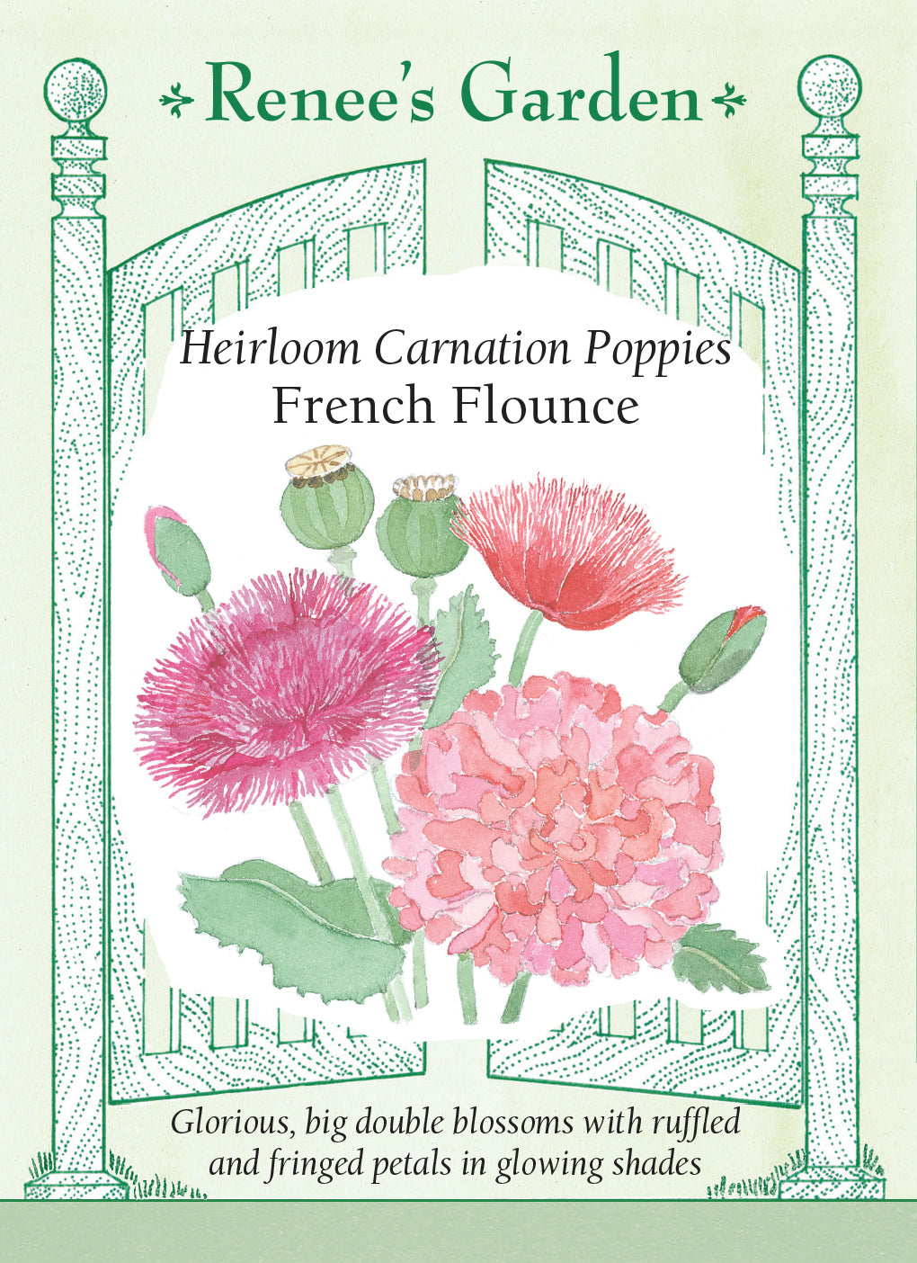 Poppy Carnation French Flounce