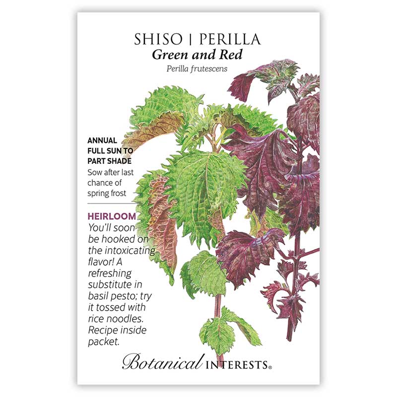 Shiso/Perilla Green/Red