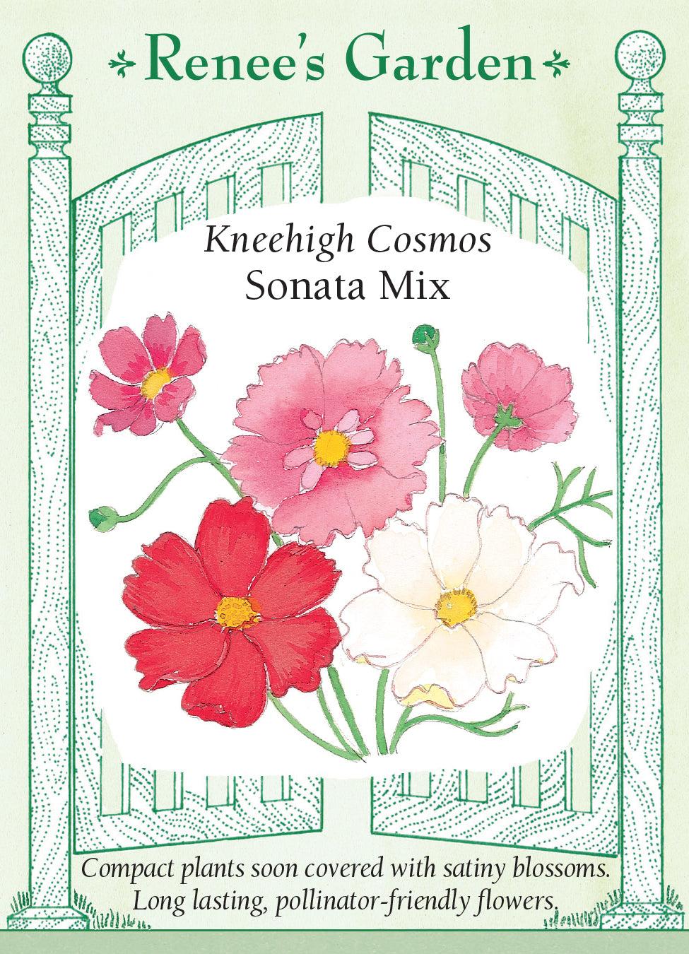 Cosmo Sonata Knee High Mix