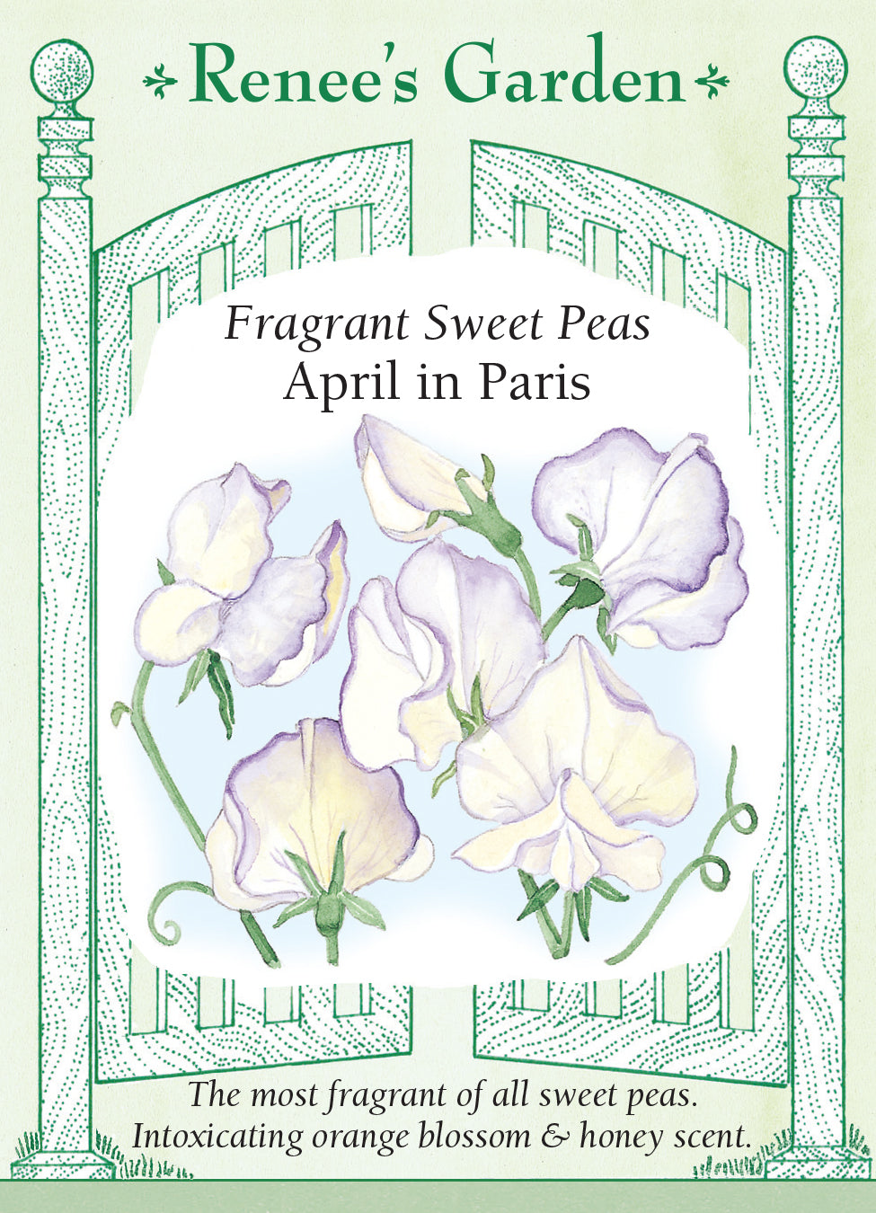 Sweet Peas April in Paris