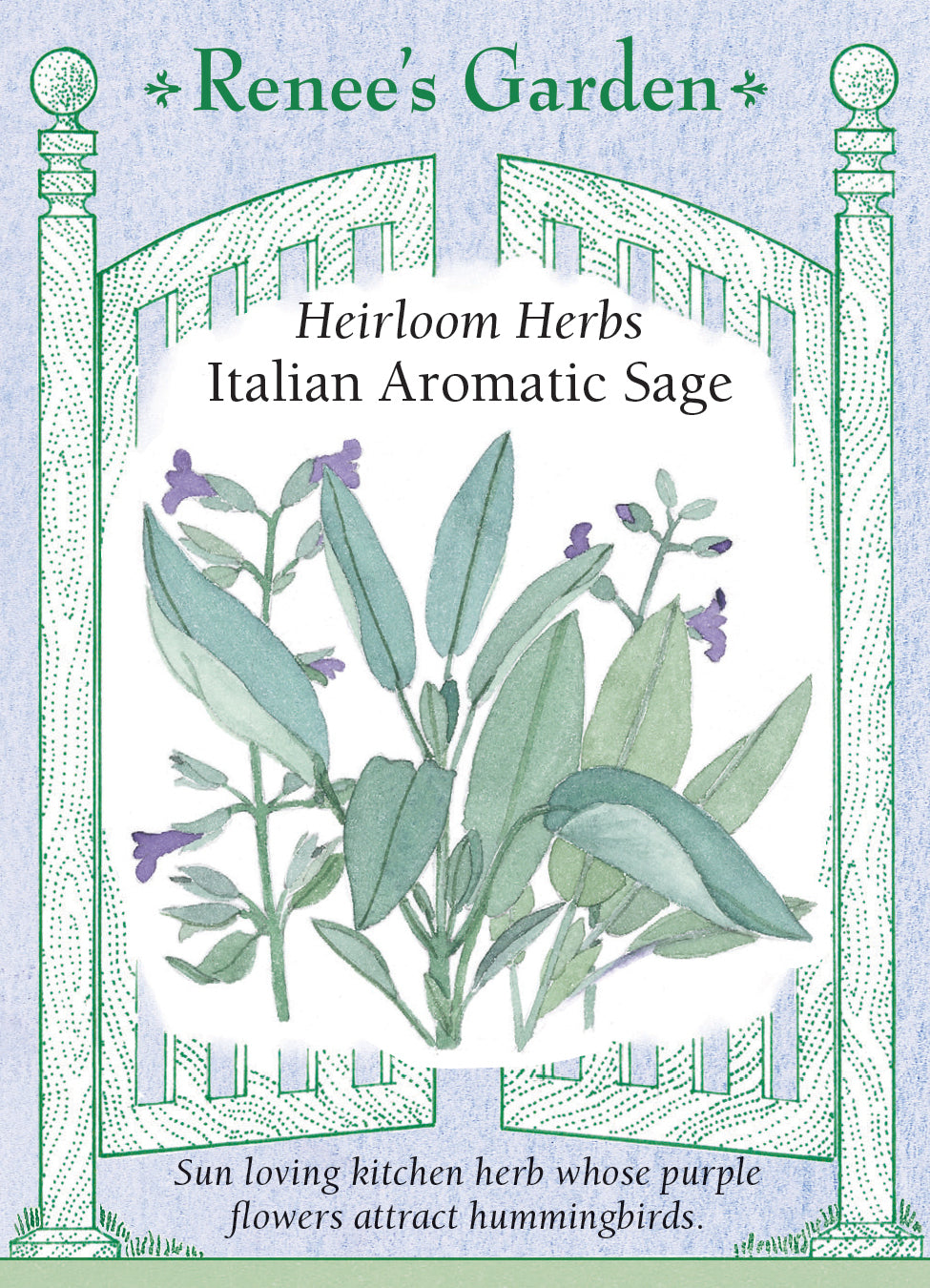 Sage Italian Aromatic