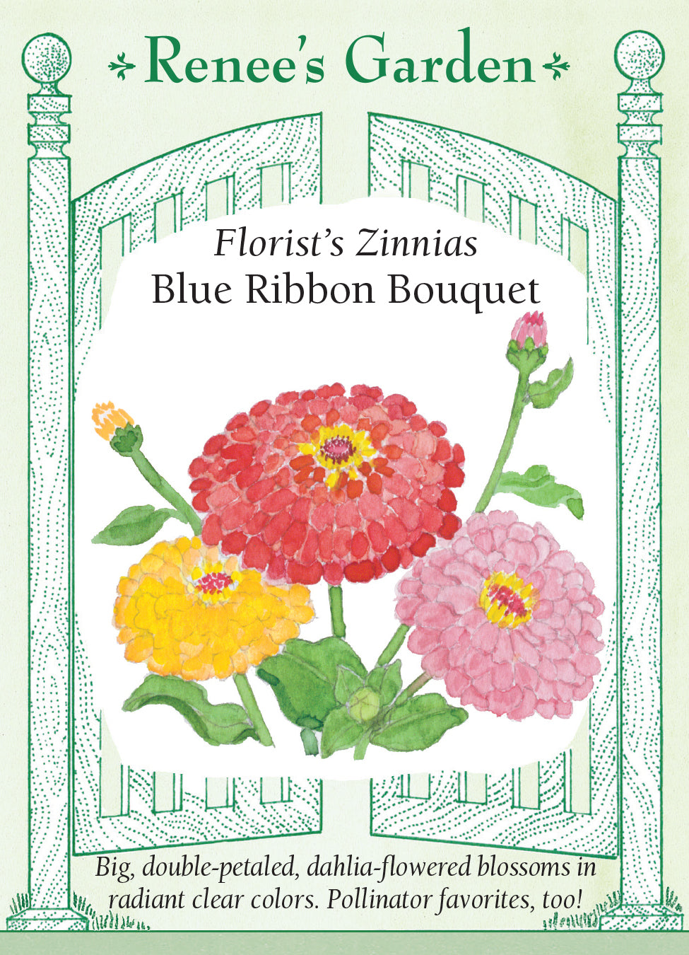 Zinnia Blue Ribbon Bouquet