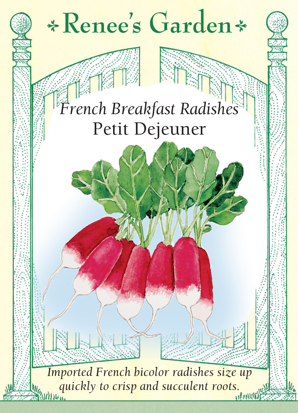Radish Petit Dejeuner