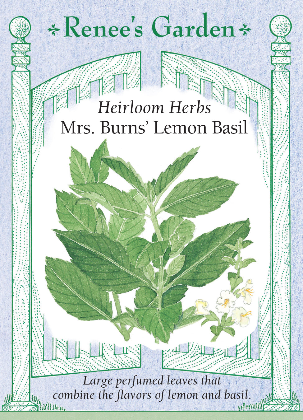 Basil Mrs. Burns' Lemon