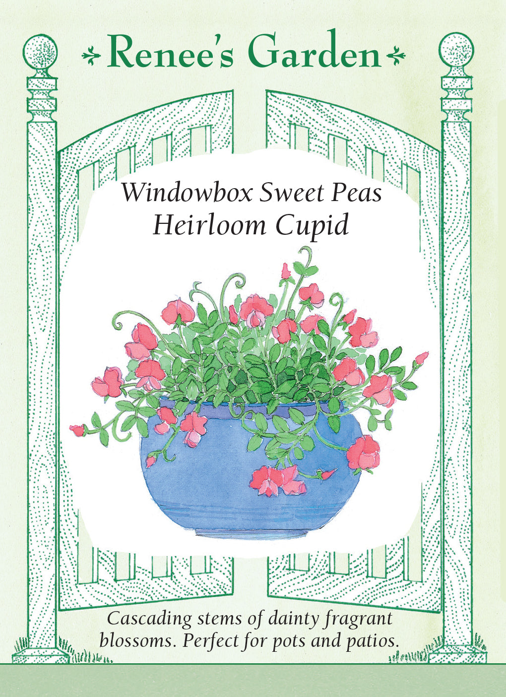 Sweet Pea Cupid Windowbox