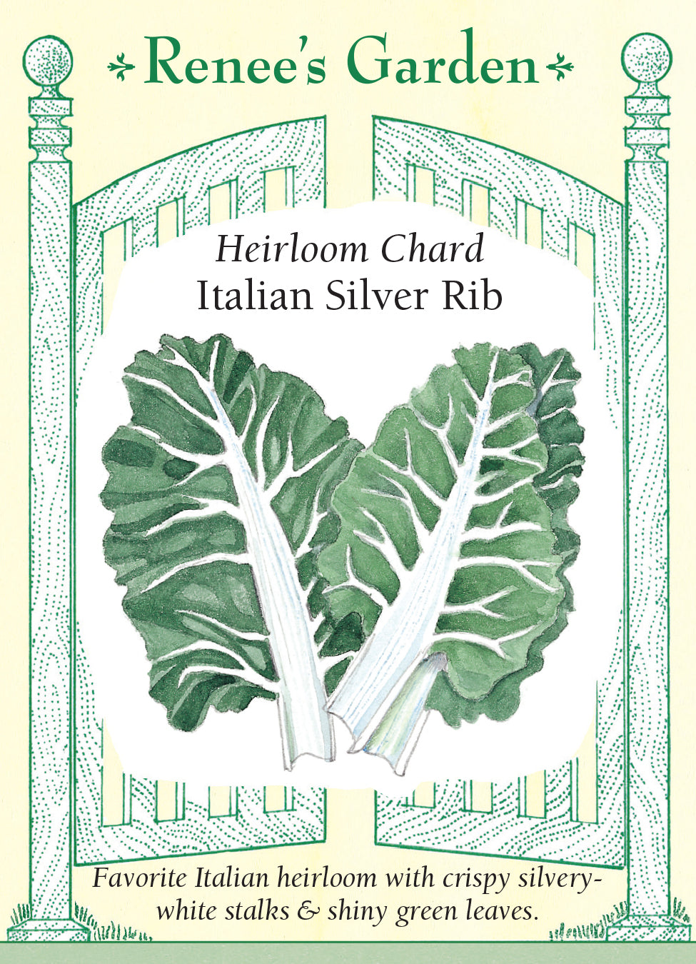 Chard Italian Silver Rib