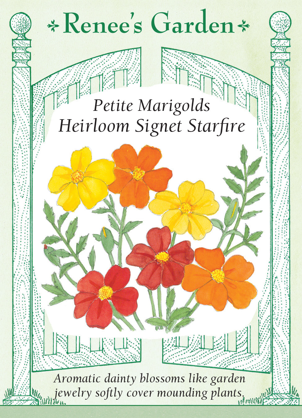 Marigold Signet Starfire Container