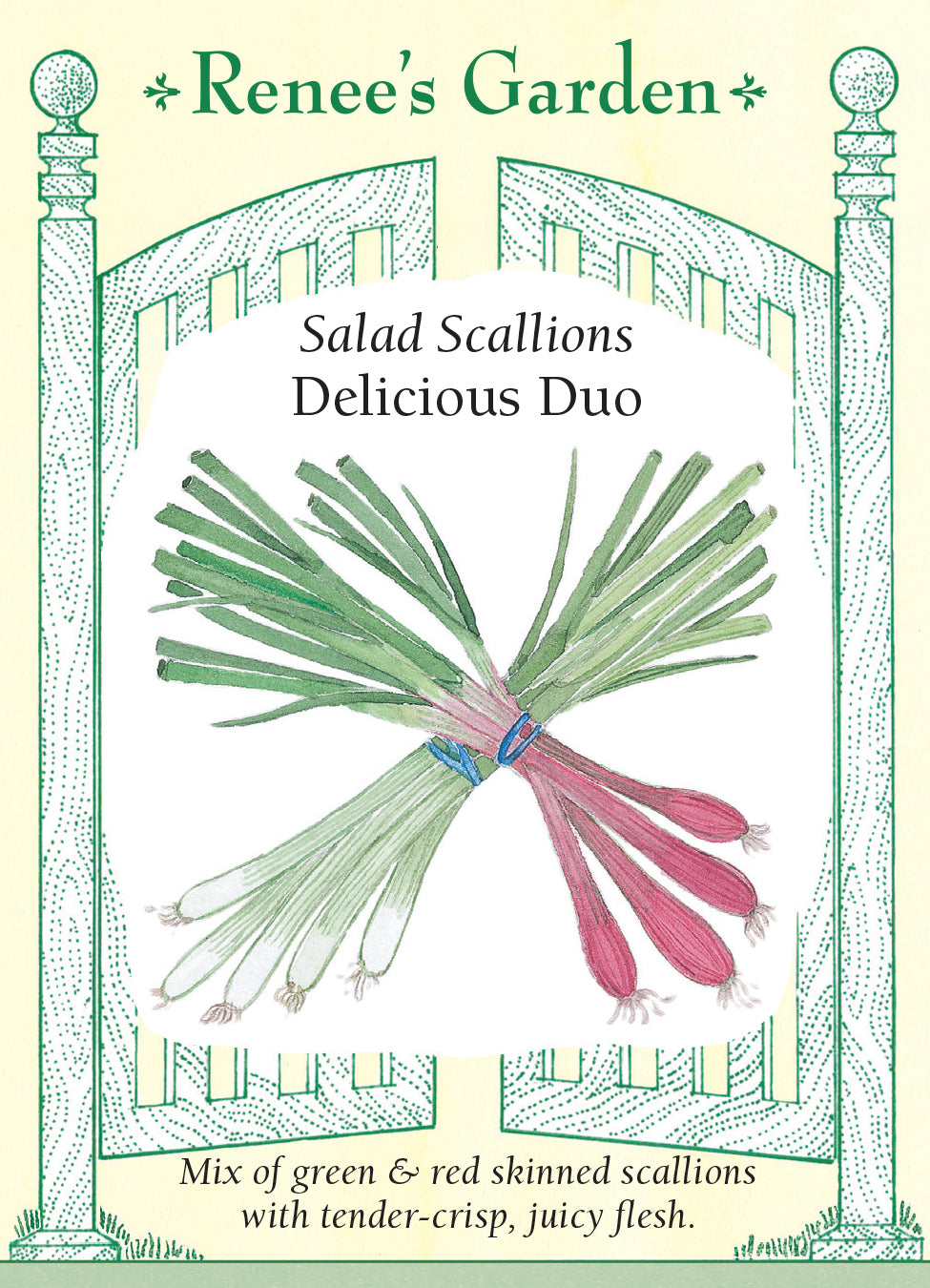Onion Scallions Delicious Duo