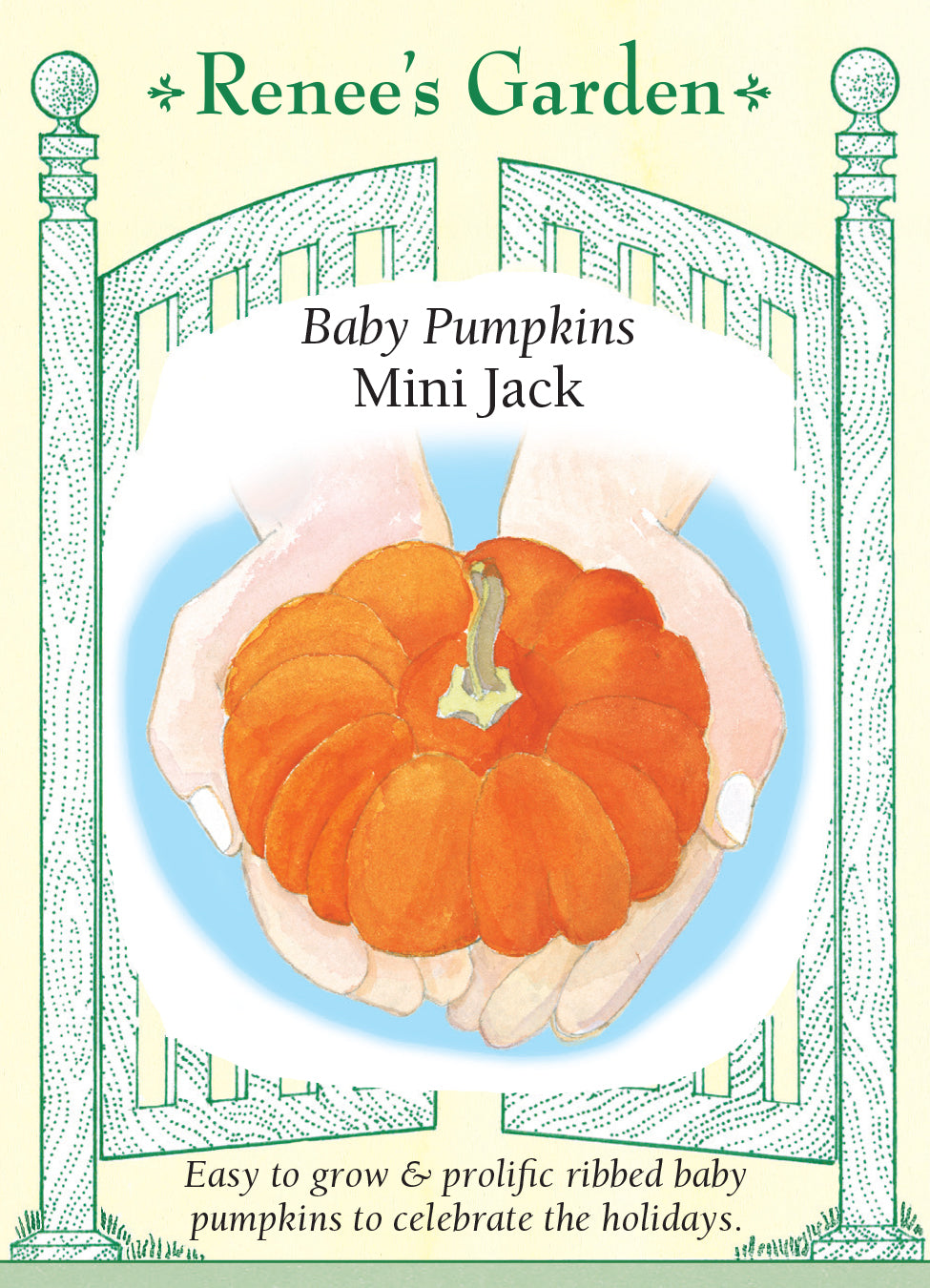 Pumpkin Mini Jack