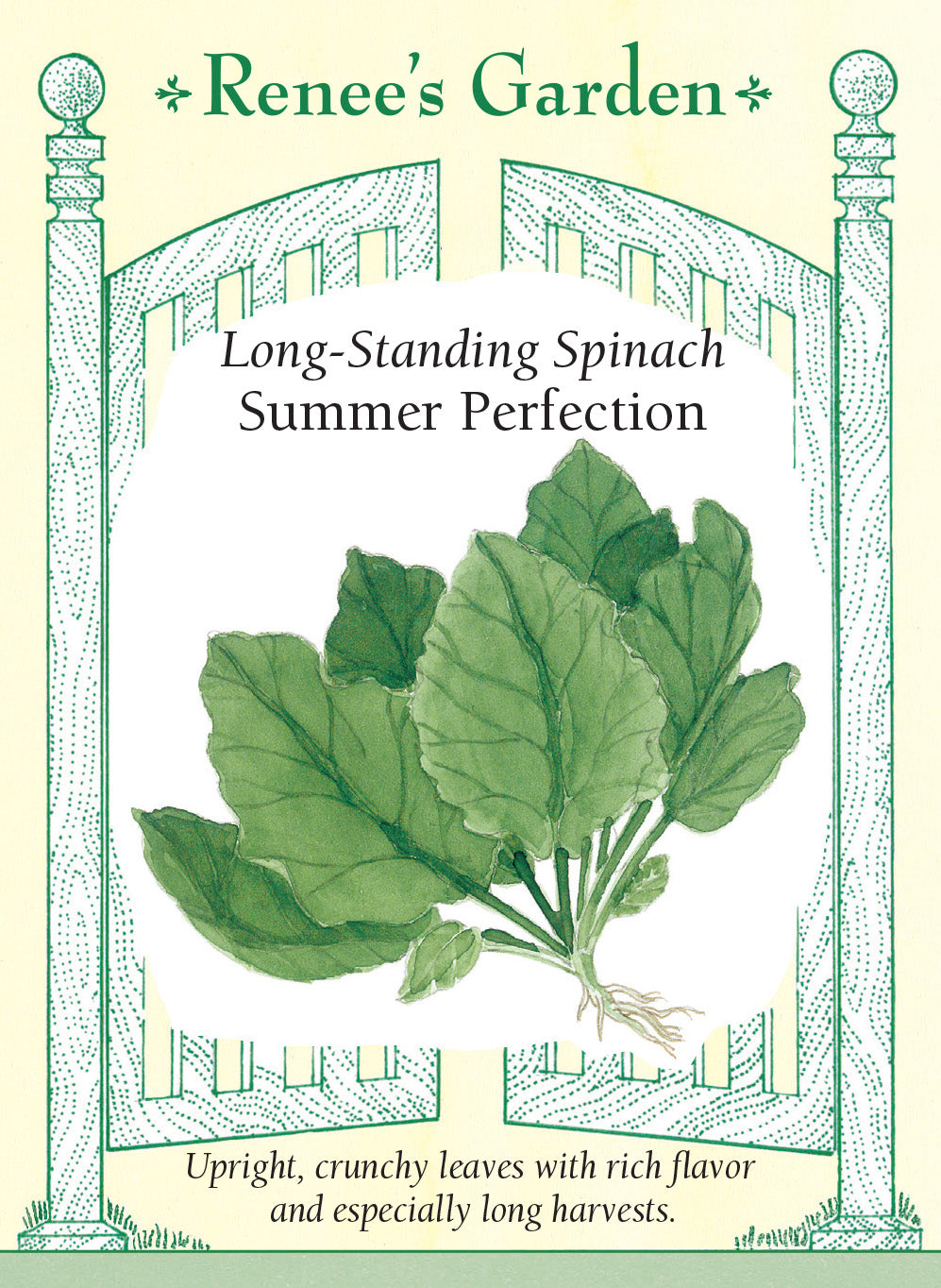Spinach Summer Perfection