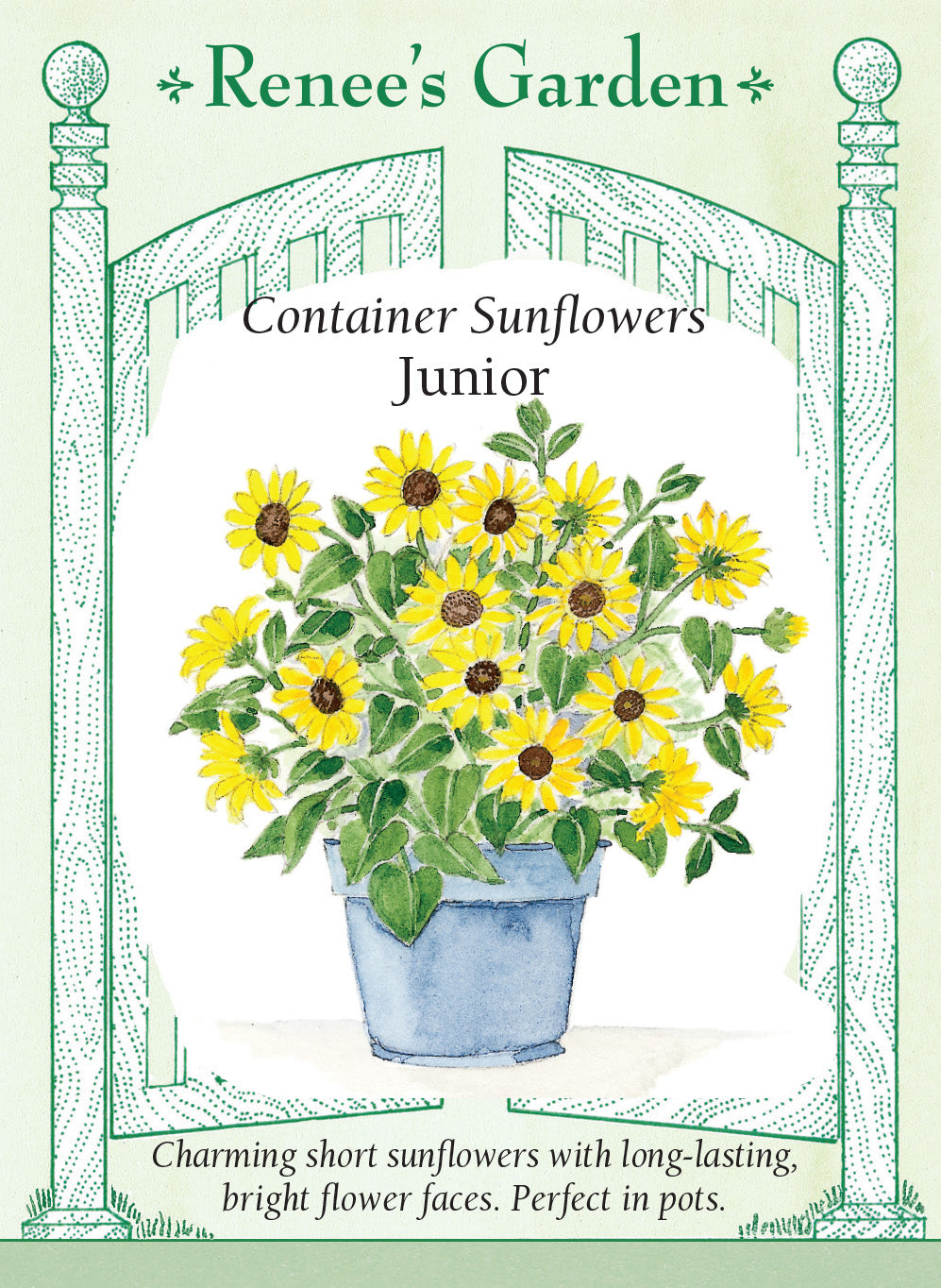 Sunflower Junior Container