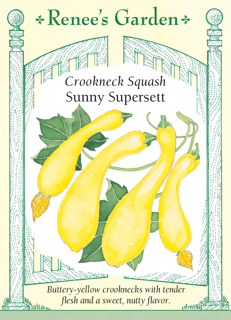 Squash Summer Sunny Supersett