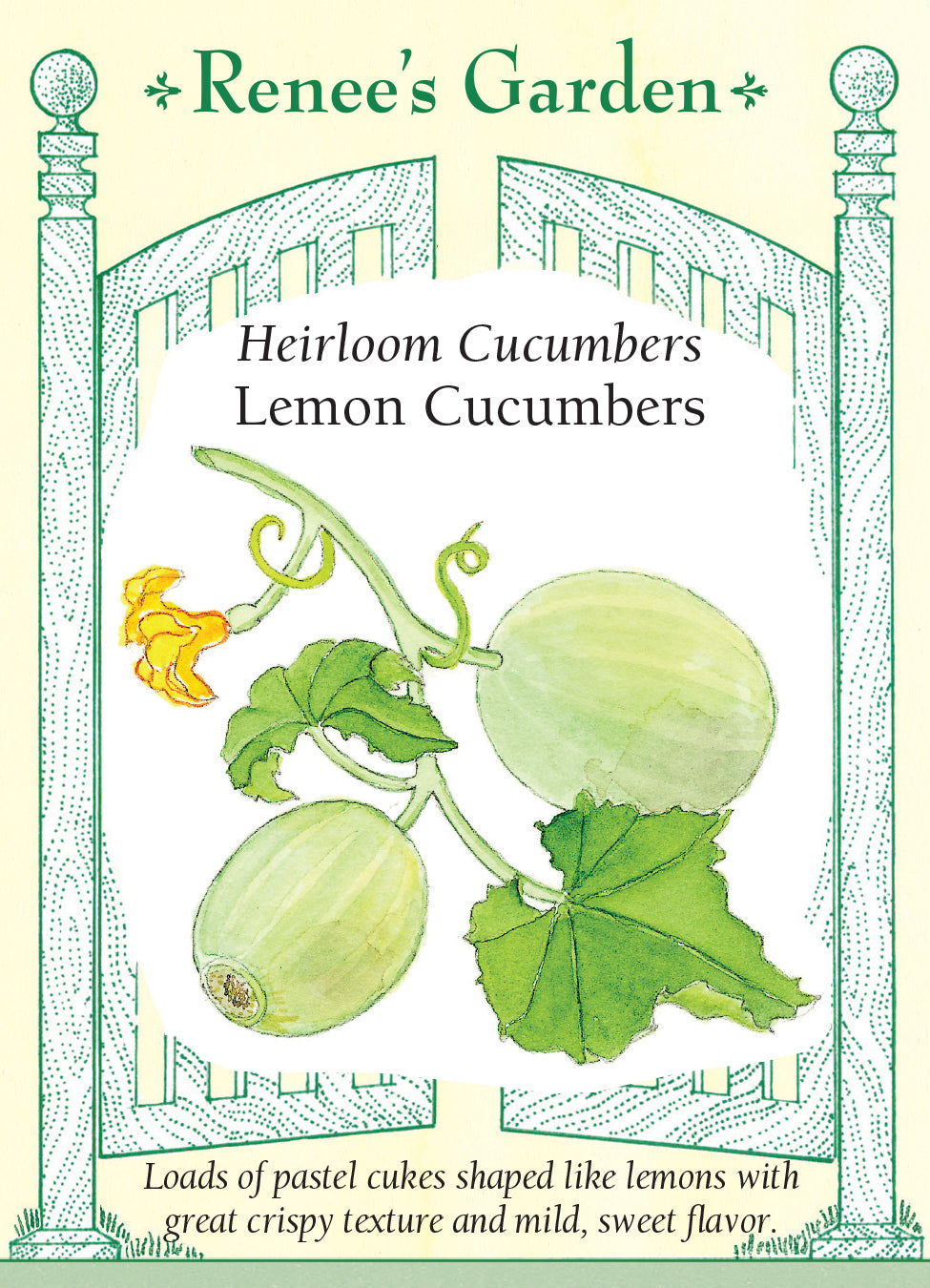 Cucumber Lemon