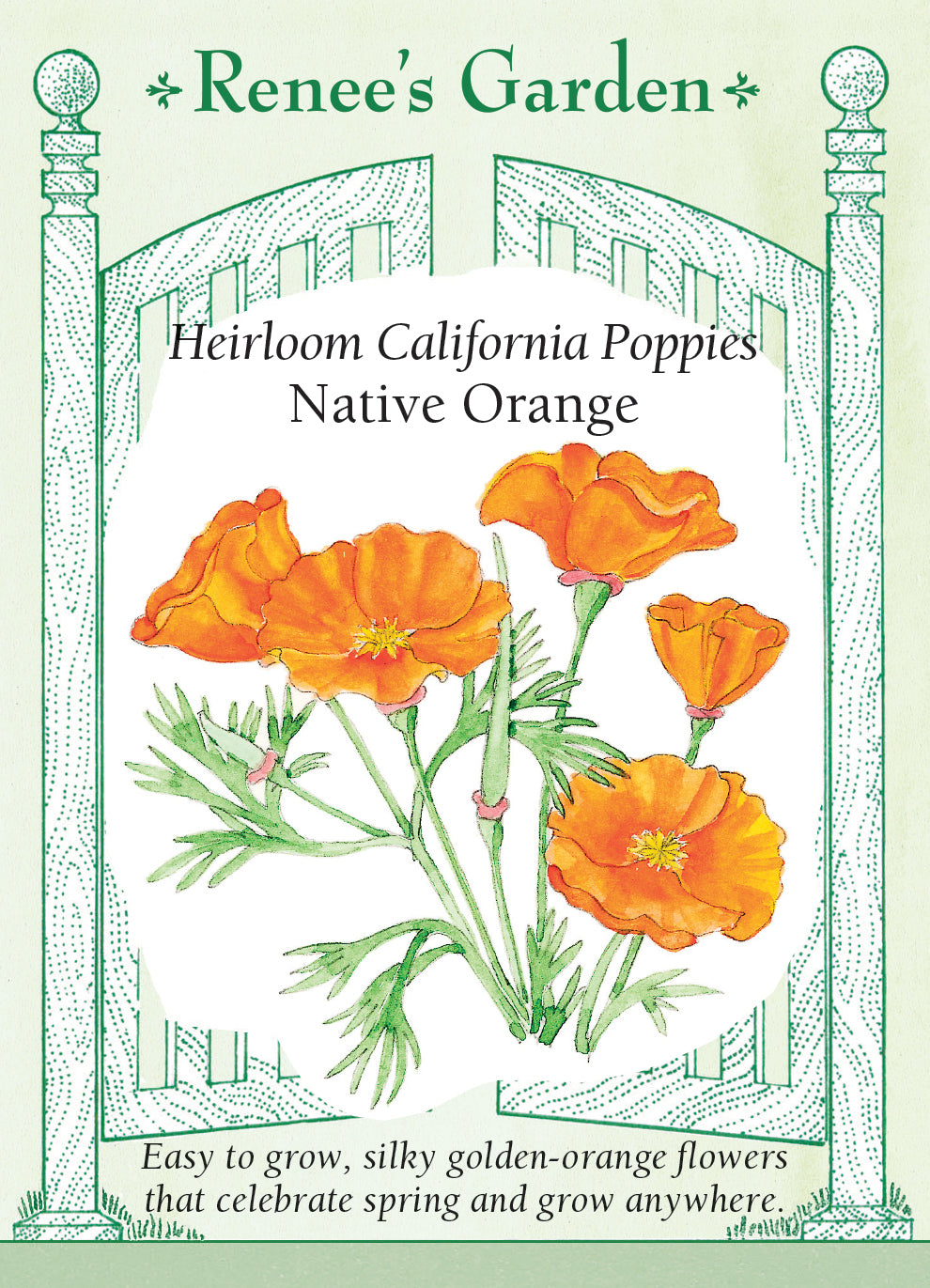 Poppy California Native Orange