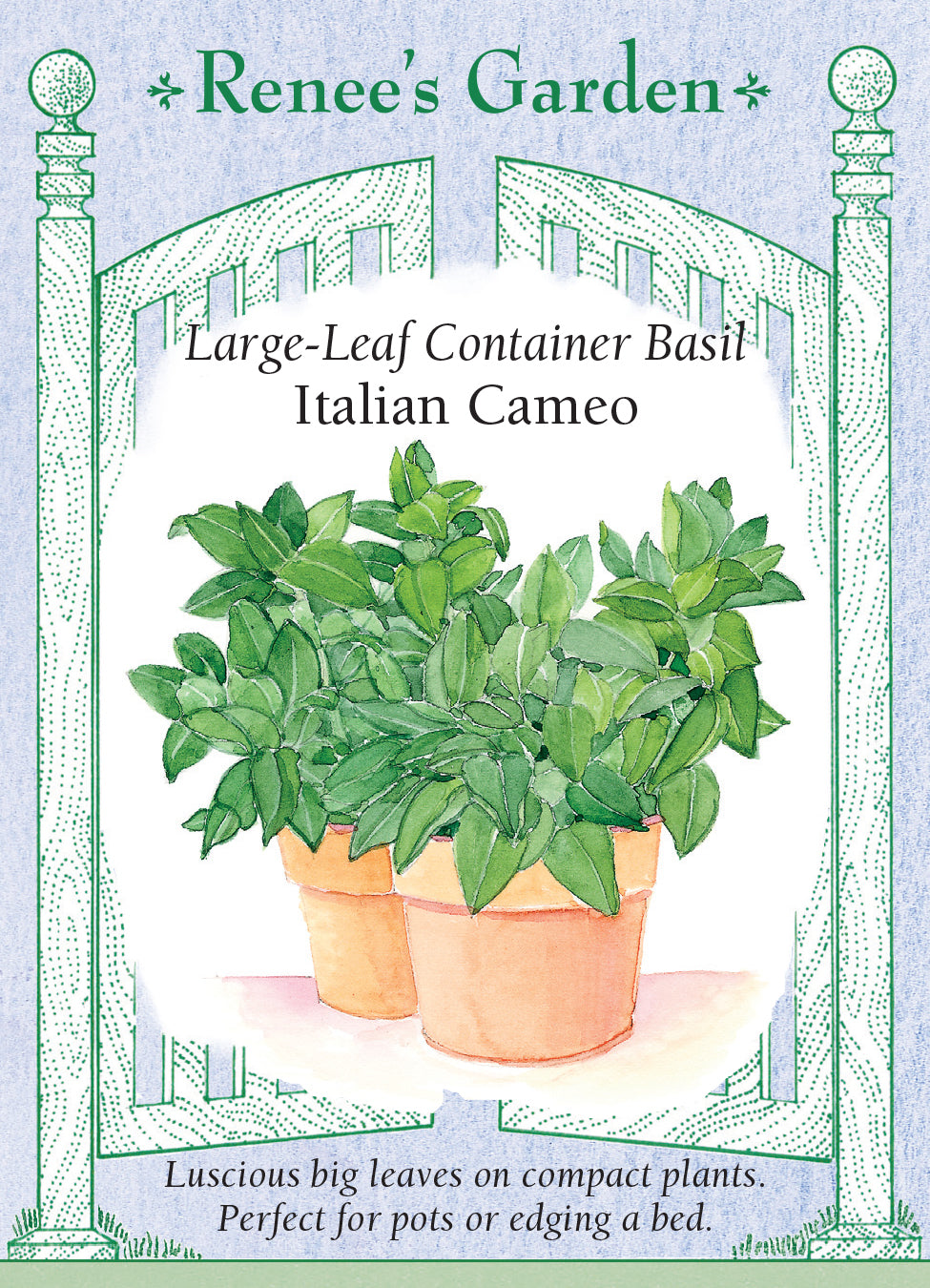 Basil Italian Cameo