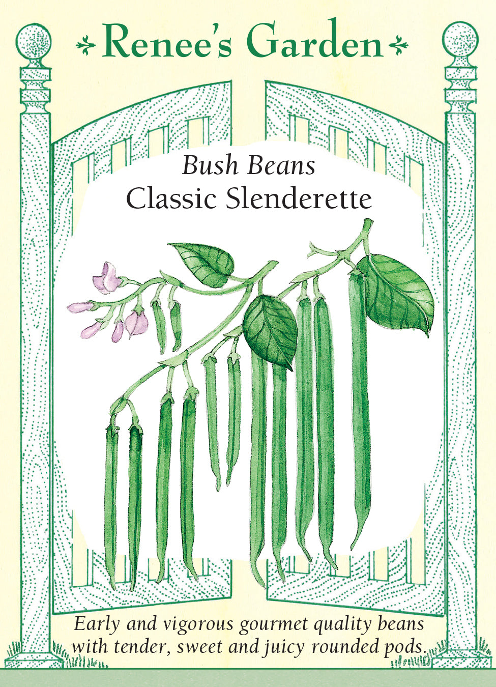 Bean Bush Classic Slenderette