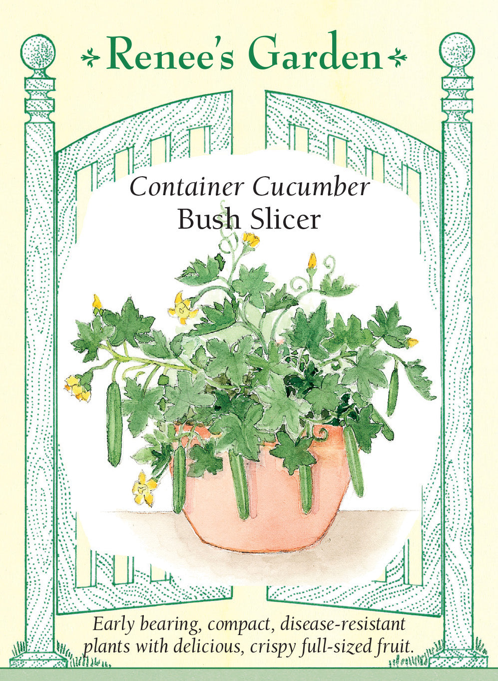 Cucumber Bush Slicer