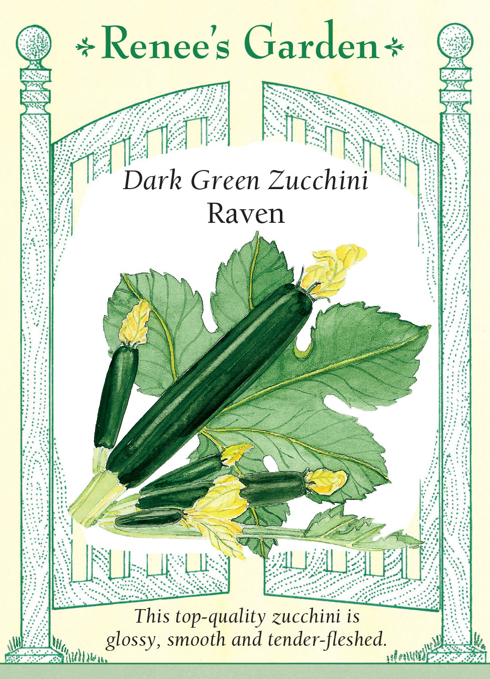 Squash Summer Zucchini Twilight