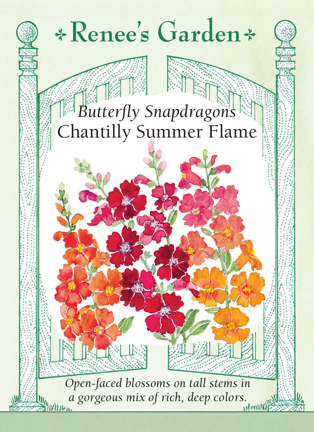 Snapdragon Summer Flame