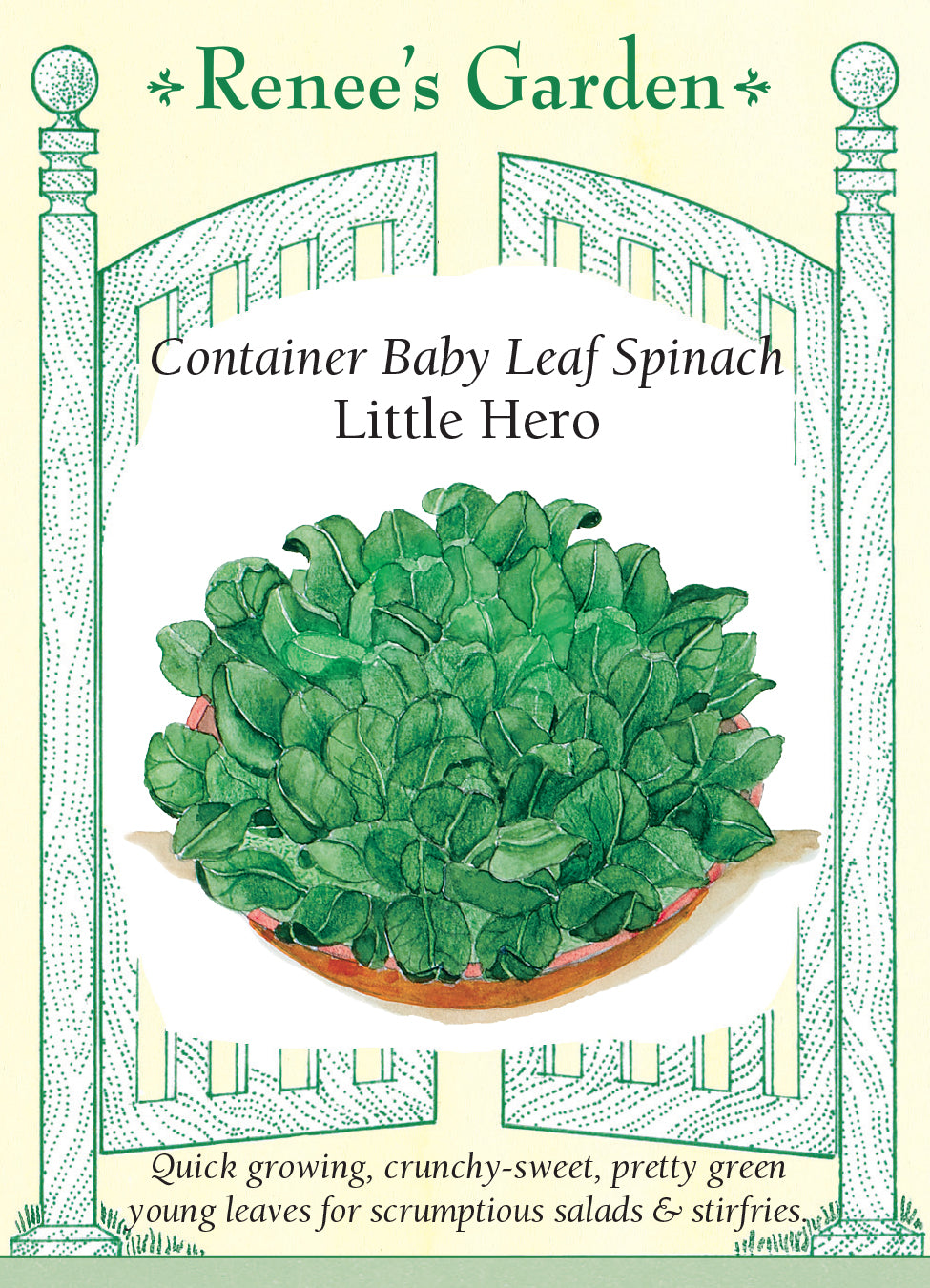 Spinach Little Hero Container