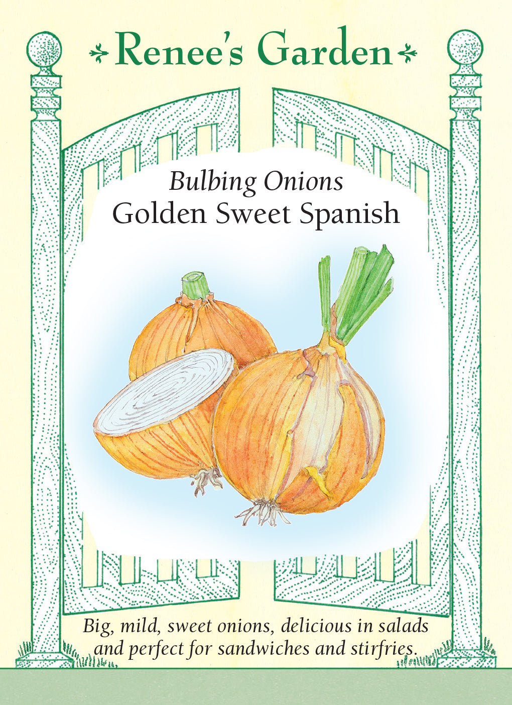 Onion Golden Sweet Spanish