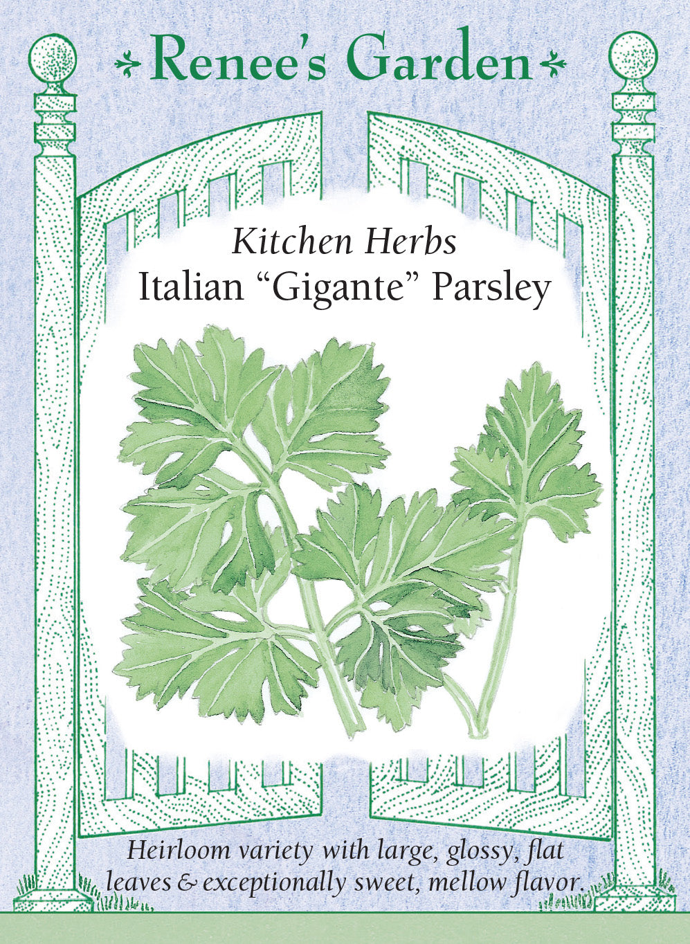 Parsley Italian "Gigante"