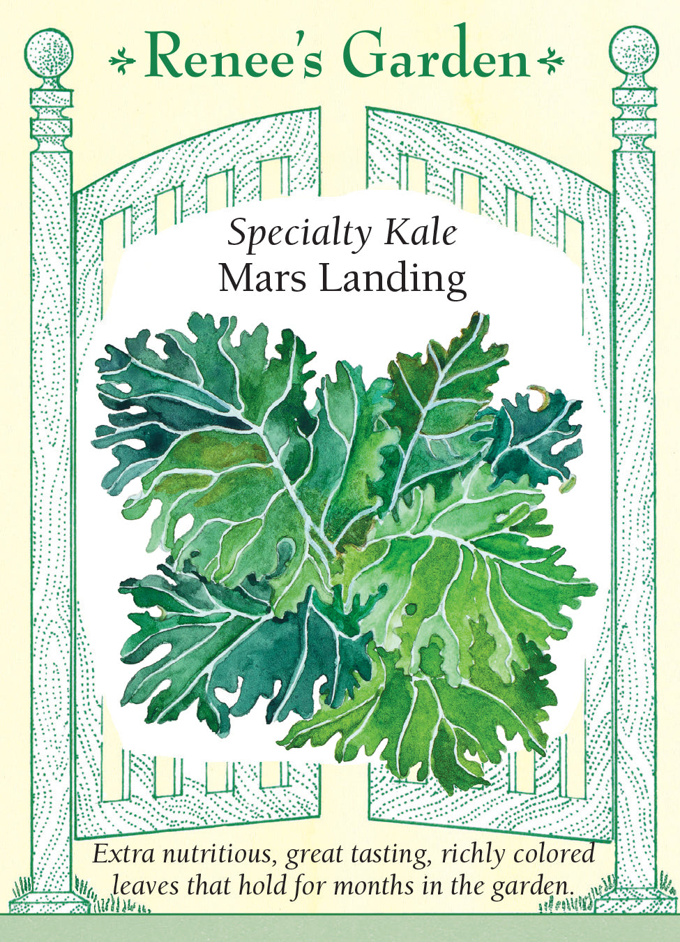 Kale Mars Landing