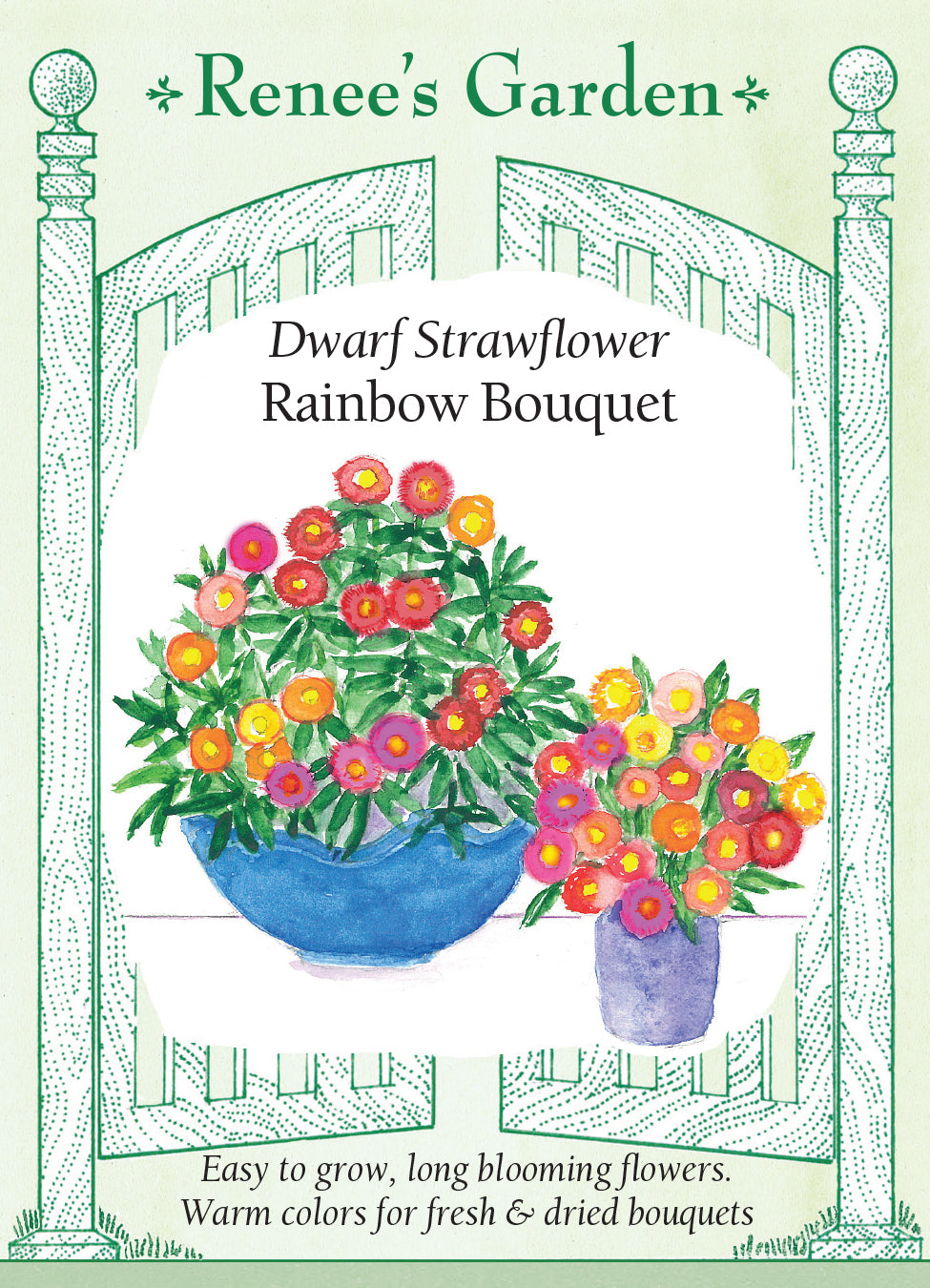 Strawflower Rainbow Bouquet