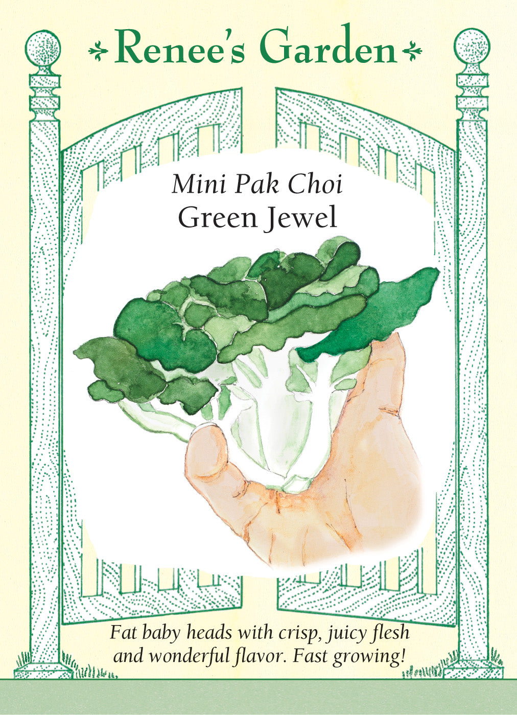 Pak Choy Green Jewel Mini