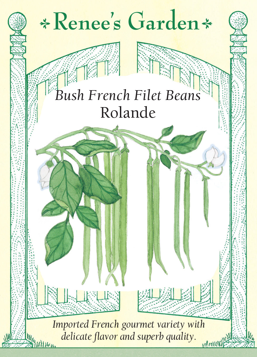 Bean Bush Rolande French