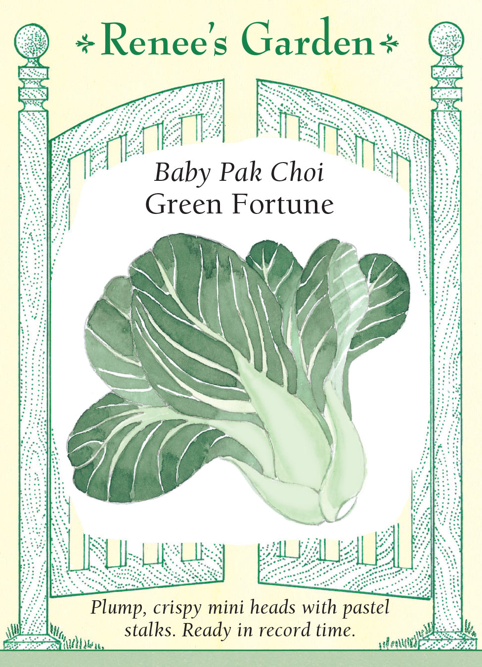 Pak Choy Green Fortune Baby