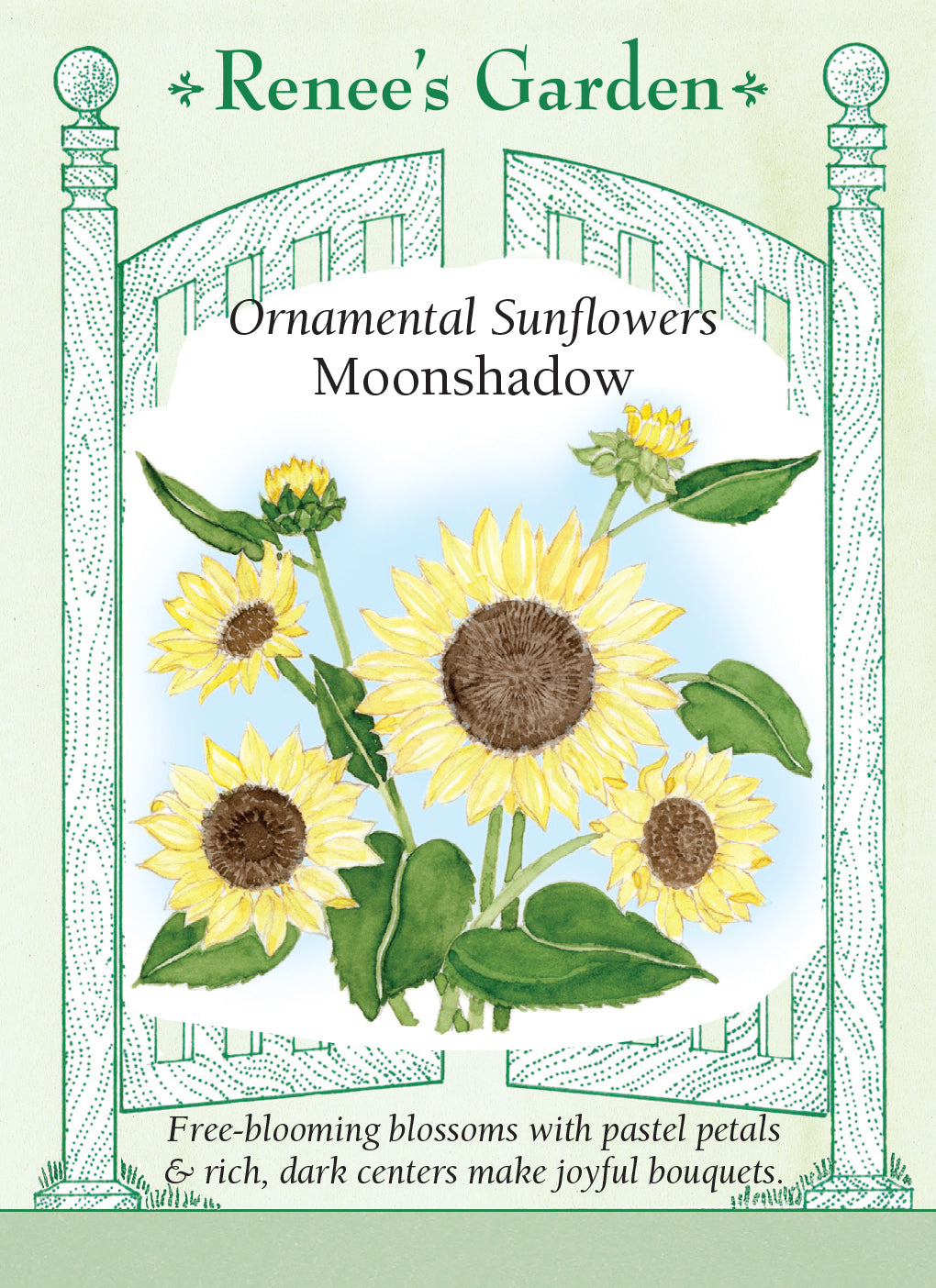 Sunflower Moonshadow