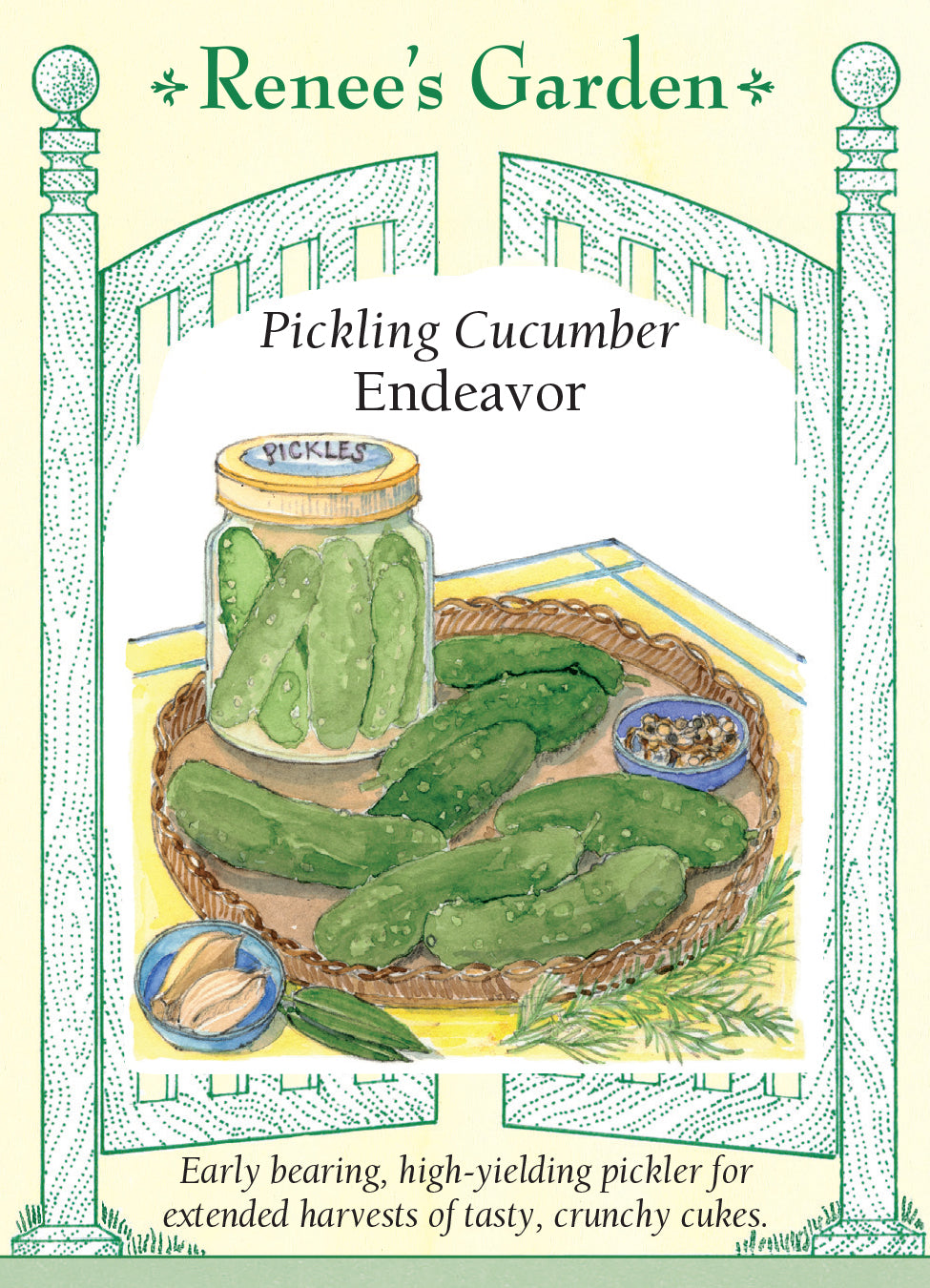 Cucumber Endeavor Pickling