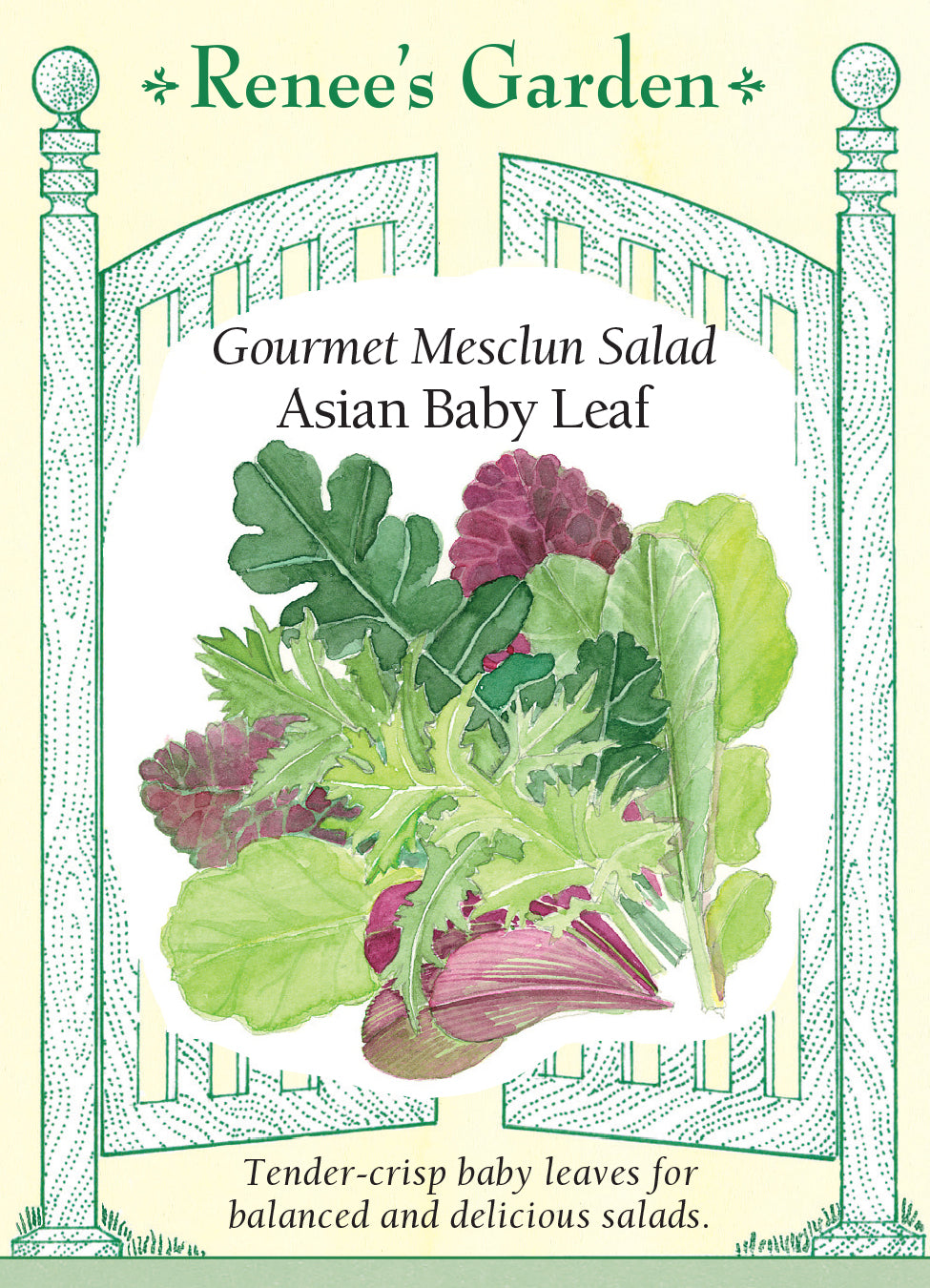 Lettuce Asian Baby Leaf Mix