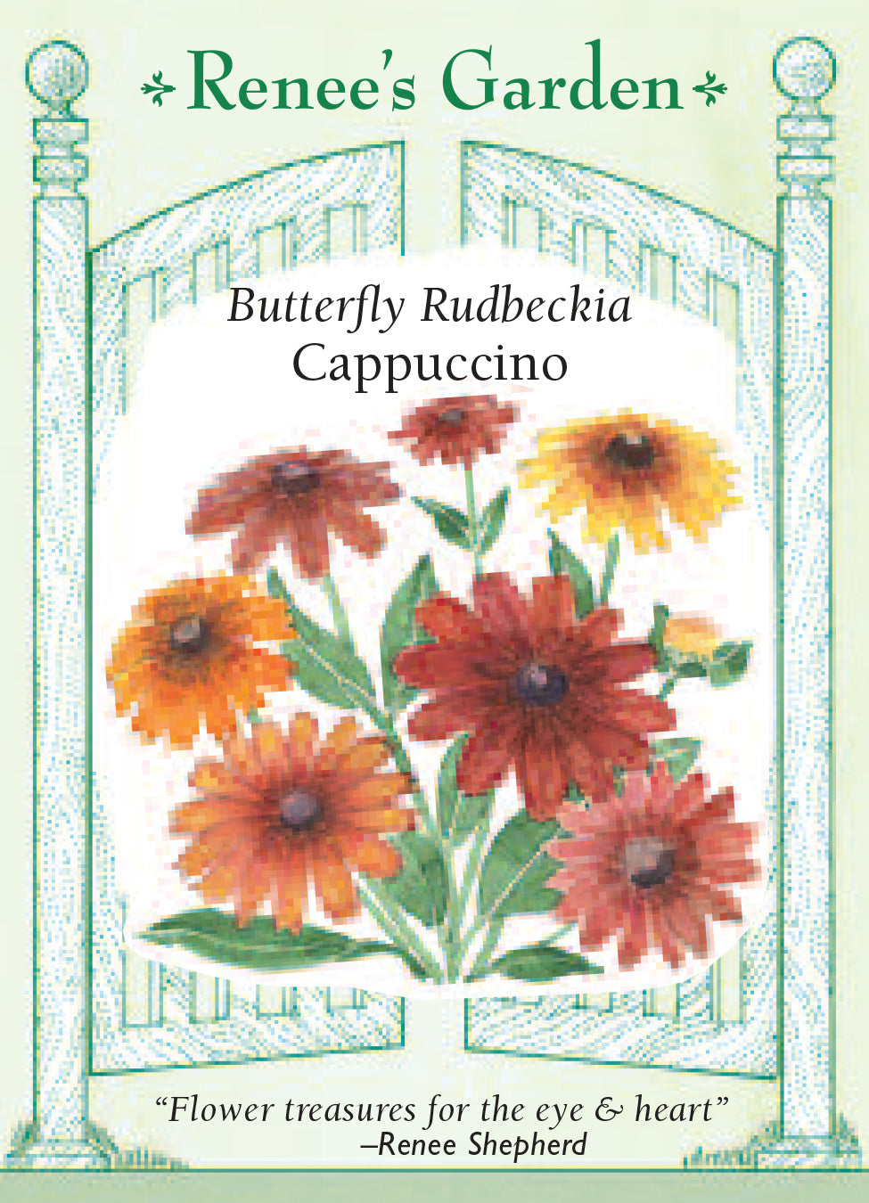 Rudbeckia Cappuccino