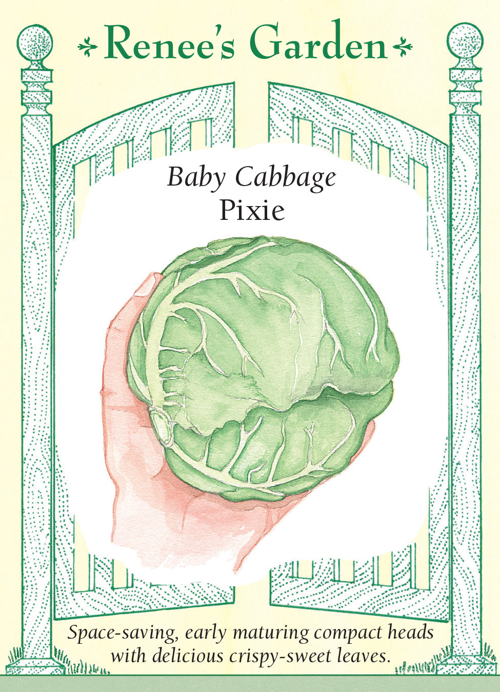 Cabbage Pixie