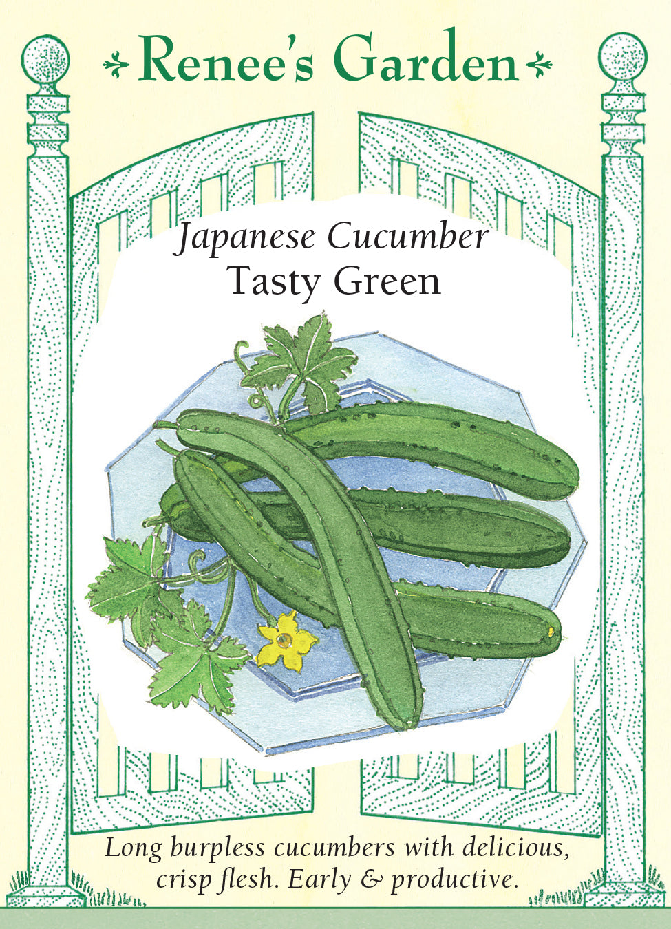 Cucumber Tasty Green Japanese