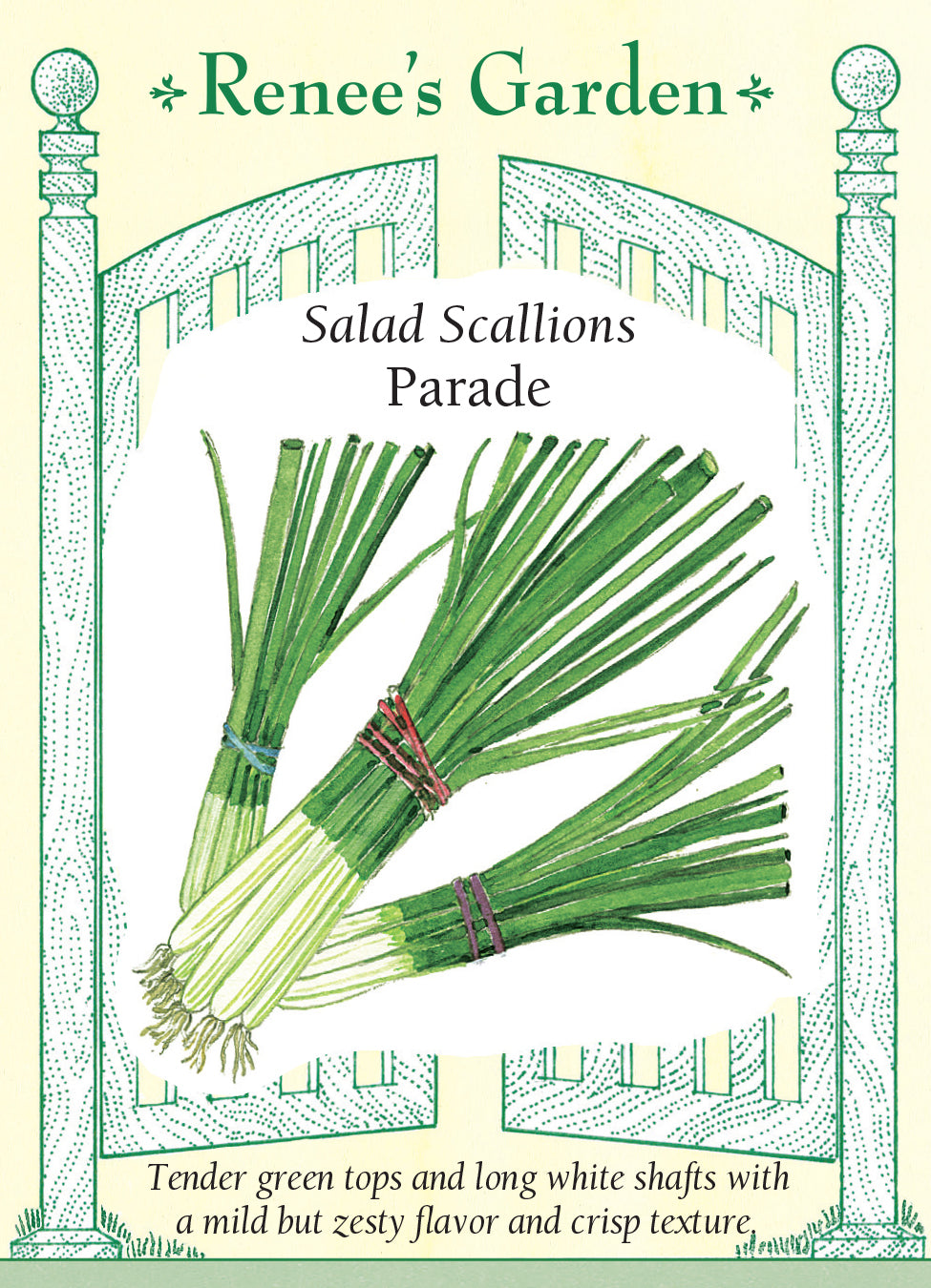 Onion Scallions Parade