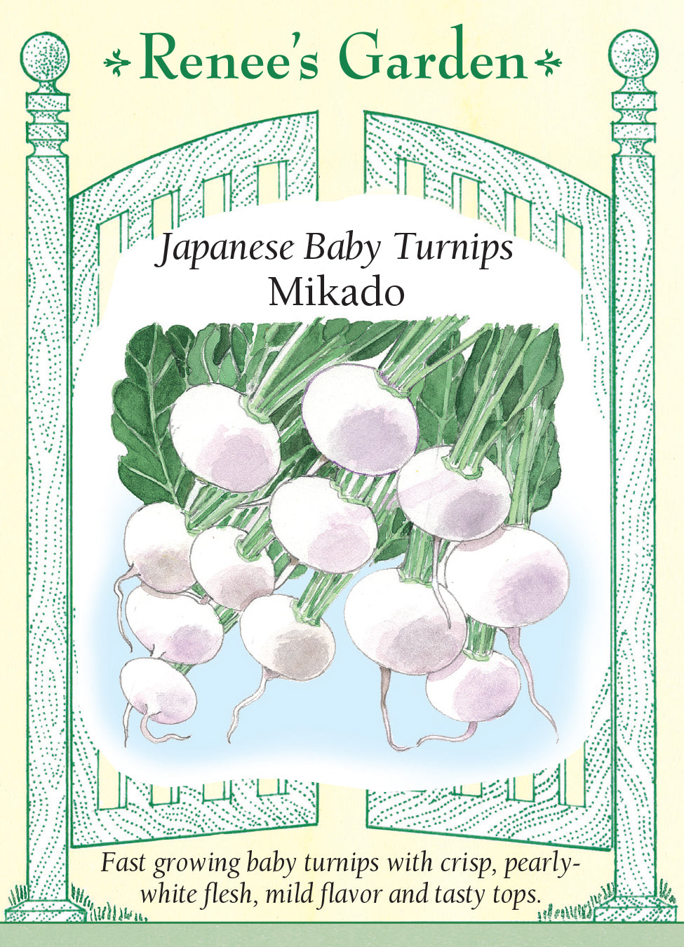 Turnip Mikado