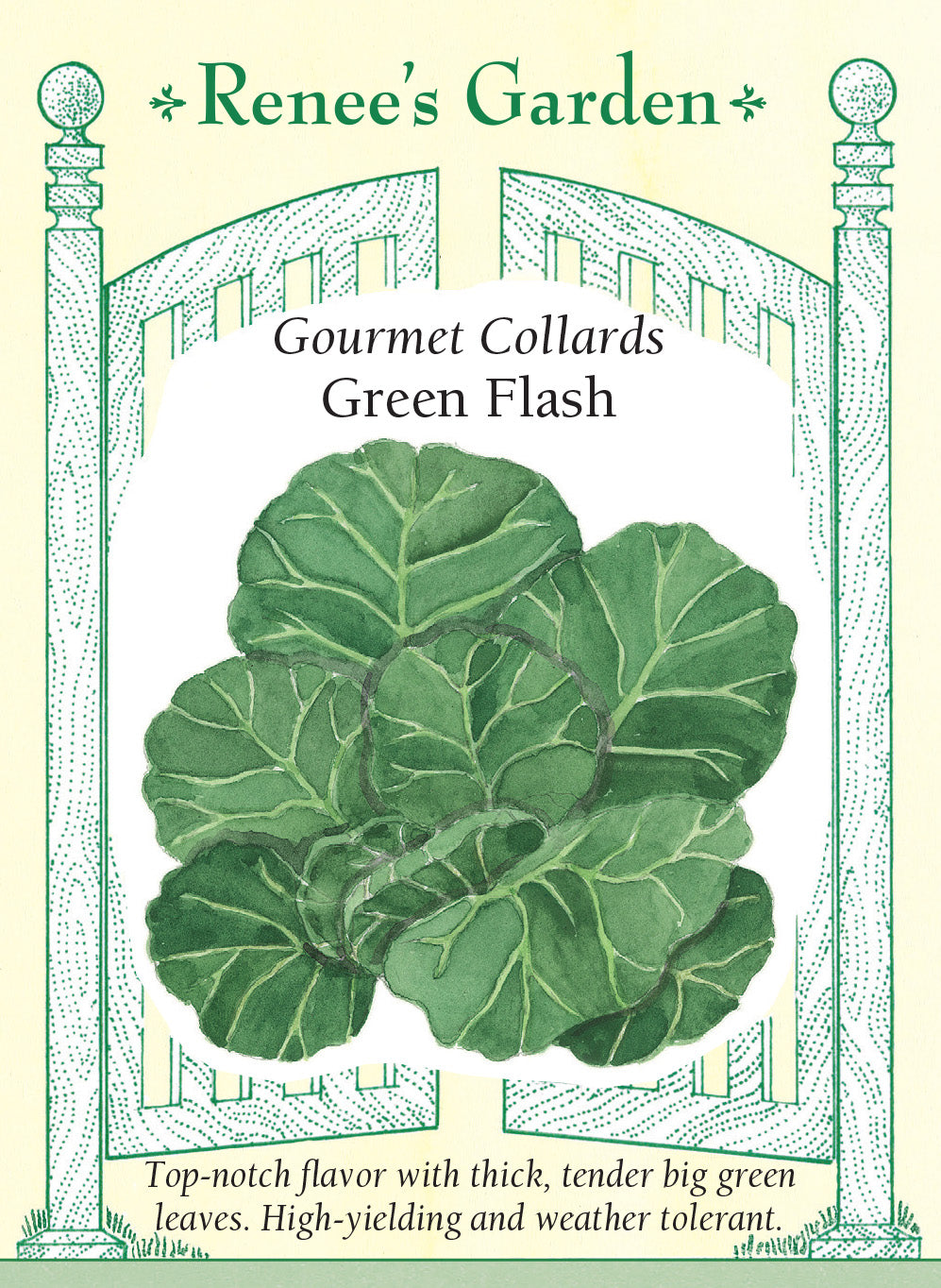 Collards Green Flash
