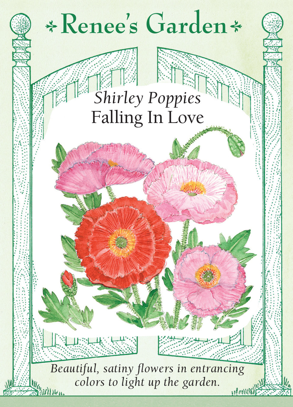 Poppy Shirley Falling in Love