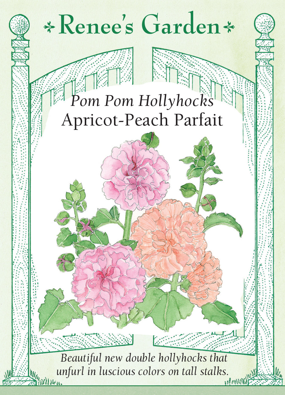 Hollyhock Apricot-Peach Parfait