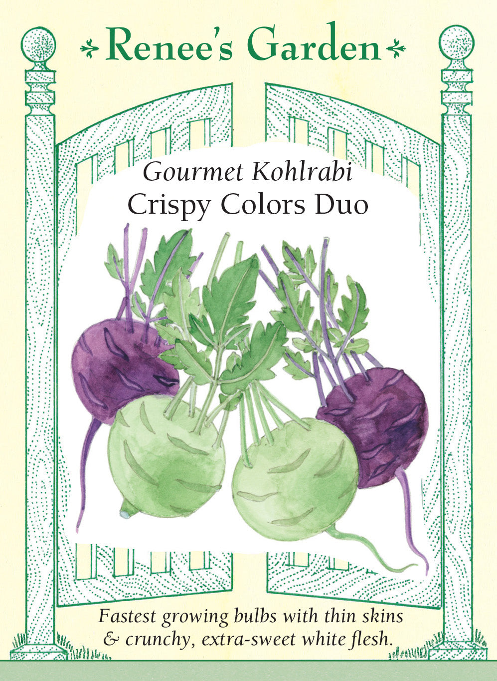 Kohlrabi Crispy Colors Duo