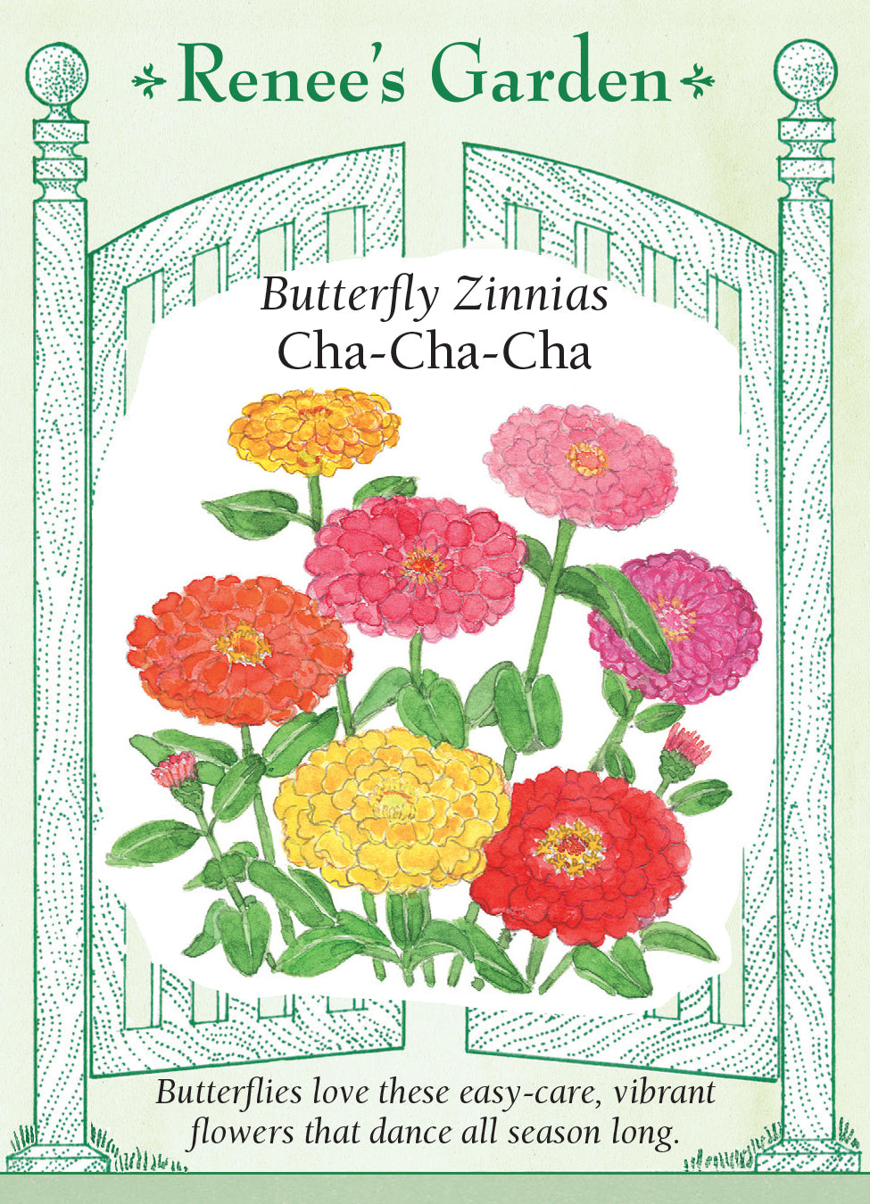 Zinnia Cha Cha Cha